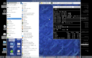 TigerVNCのvncserverで起動したFedoraをNetBSD上のTightVNCのvncviewerで表示
