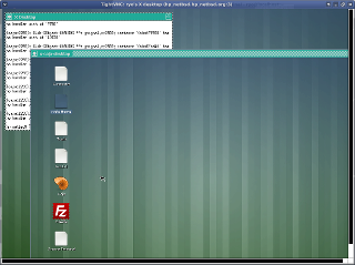 VNCクライアントのTightVNCウィンドウ内でGUI起動したリモートホスト上のCajaベースのデスクトップ