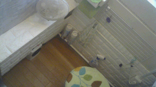 プラダンとキャンドゥのクッションレンガシート(約15cmx69cm・ホワイト)/ダイソーのリメイクシート(45cmx90cm・細レンガ 淡いグレー系)で装飾したトイレの一角